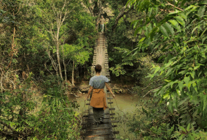 DESAFIOS PARA A TRANSIÇÃO AGROECOLÓGICA