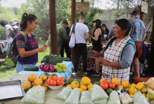 RELAÇÕES DE PRODUÇÃO CONSUMO
