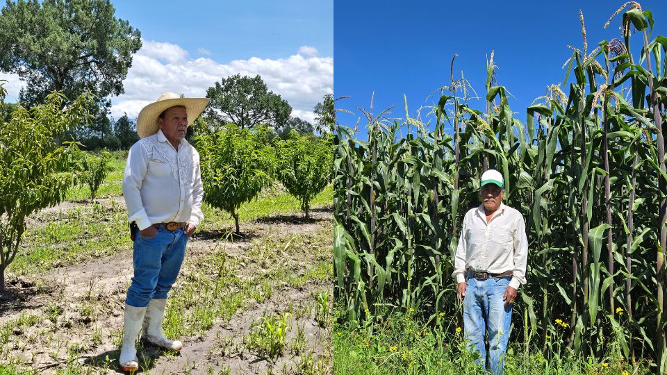 Agricultores mexicanos 1
