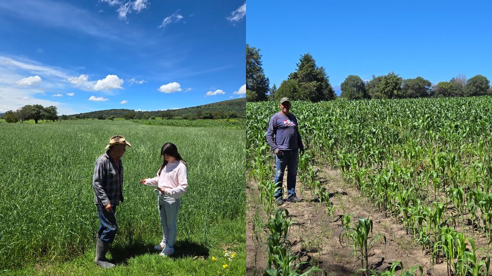 Agricultores mexicanos 2