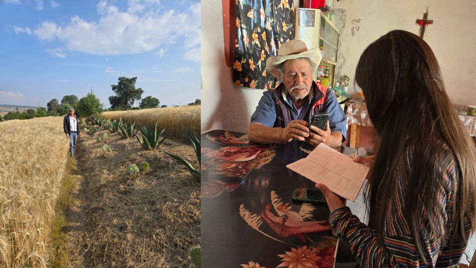 Agricultores mexicanos 3