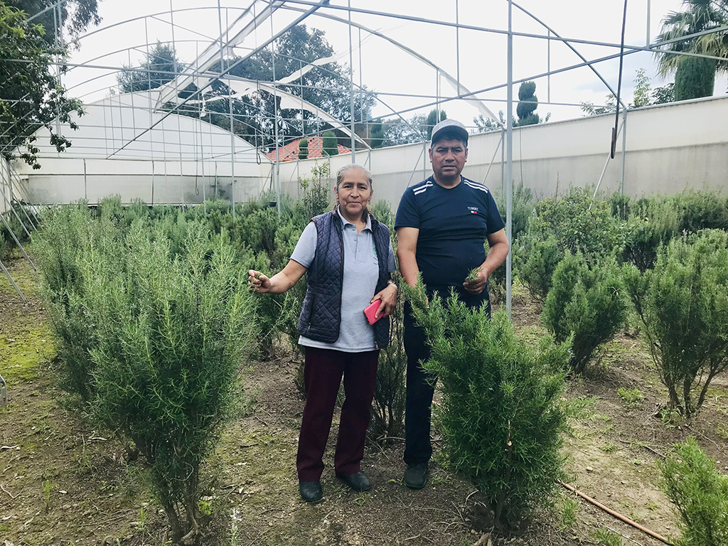 Agricultores mexicanos