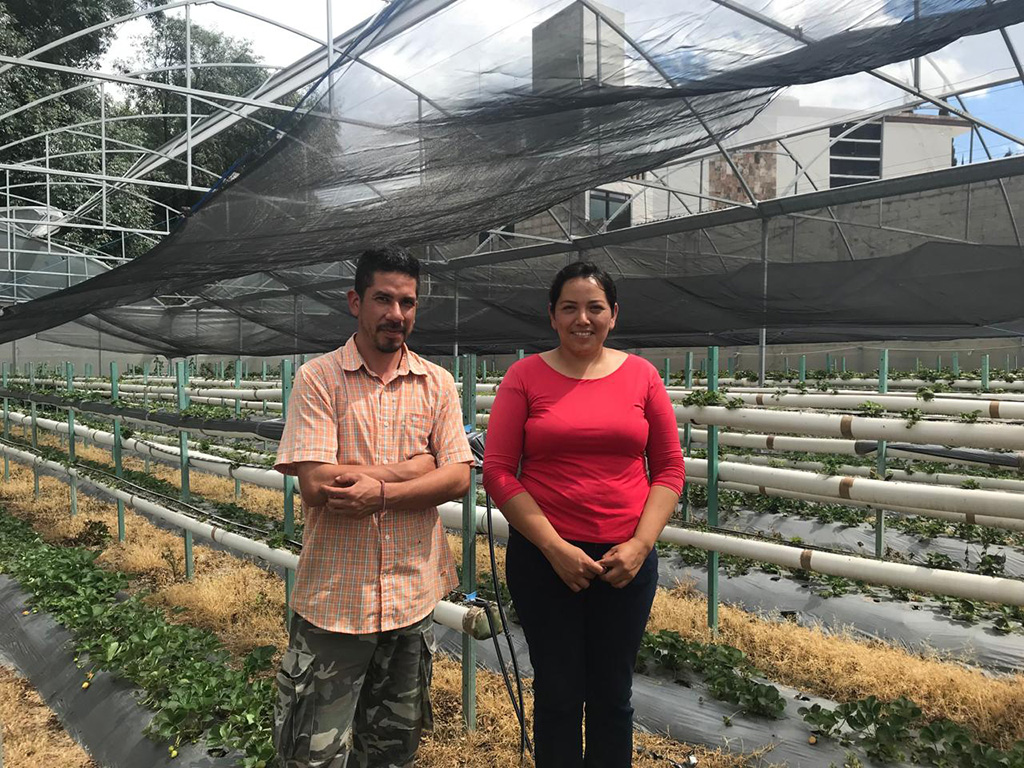 Casal de agricultores mexicanos