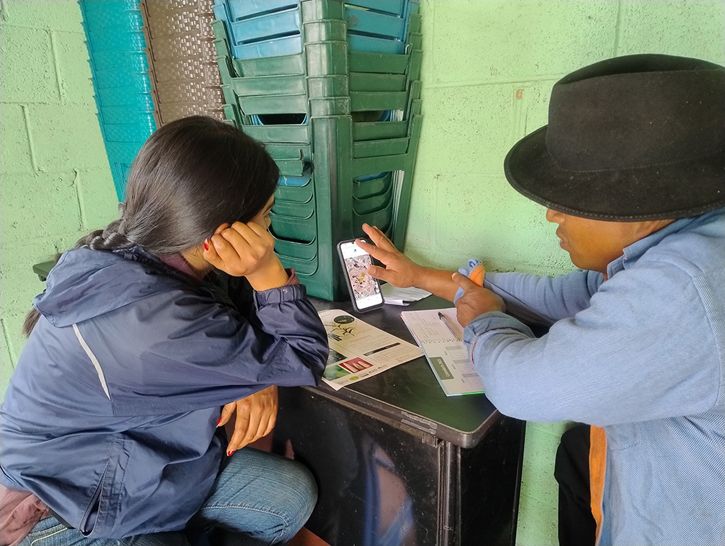 Conhecendo o aplicativo LiteFarm