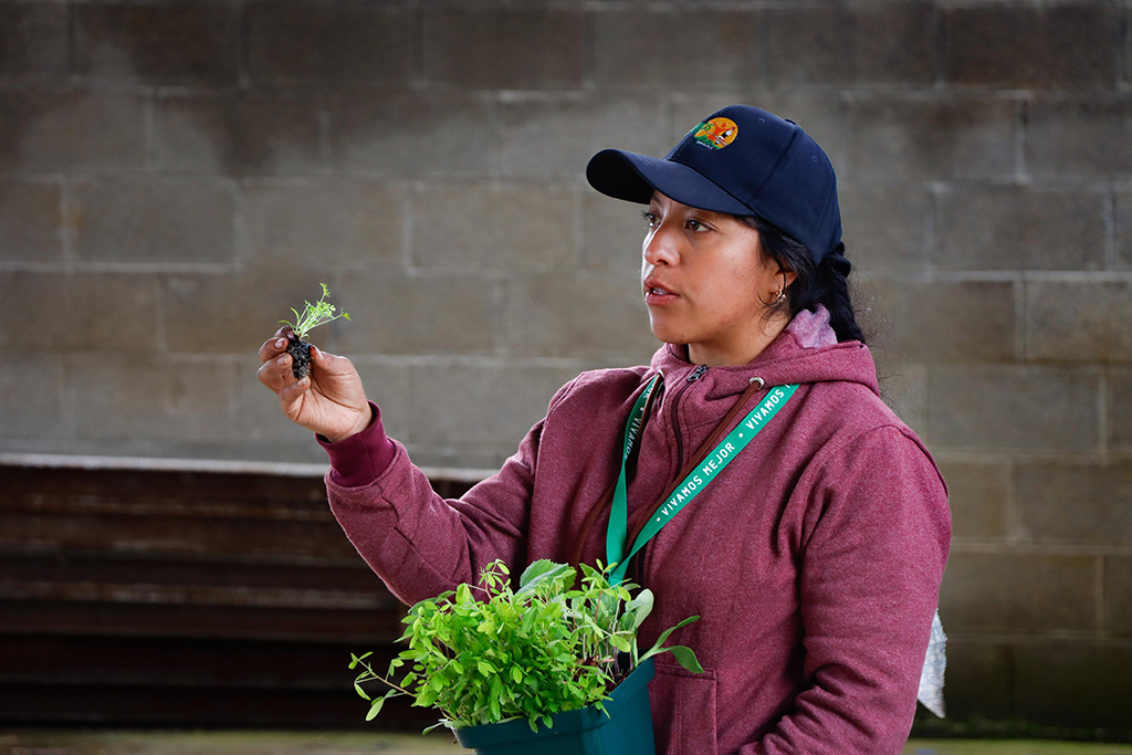 Técnica de campo da organização Asociación Vivamos Mejor