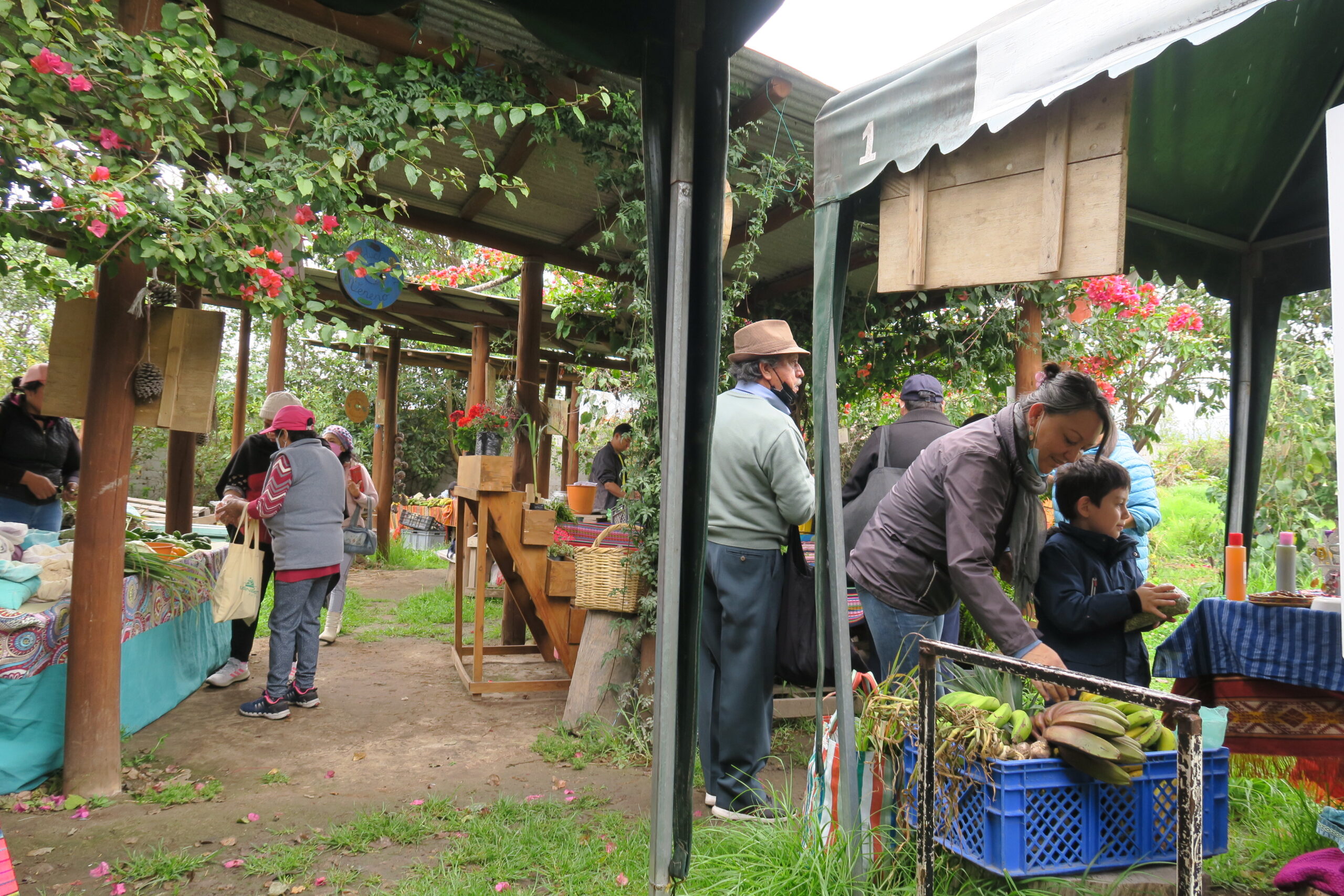 Uma das professoras da escola primária alternativa de Kurikancha faz compras na feira de produtores. Muitos dos clientes de Kurikancha são familiares de alunos da escola.