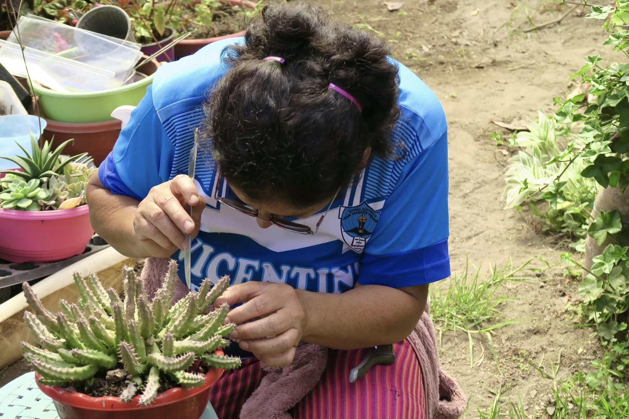 Esta suculenta e ornamental produtora de plantas gosta de mexer, brincar e experimentar suas muitas plantas, o que lhe permite expressar criatividade e curiosidade científica.