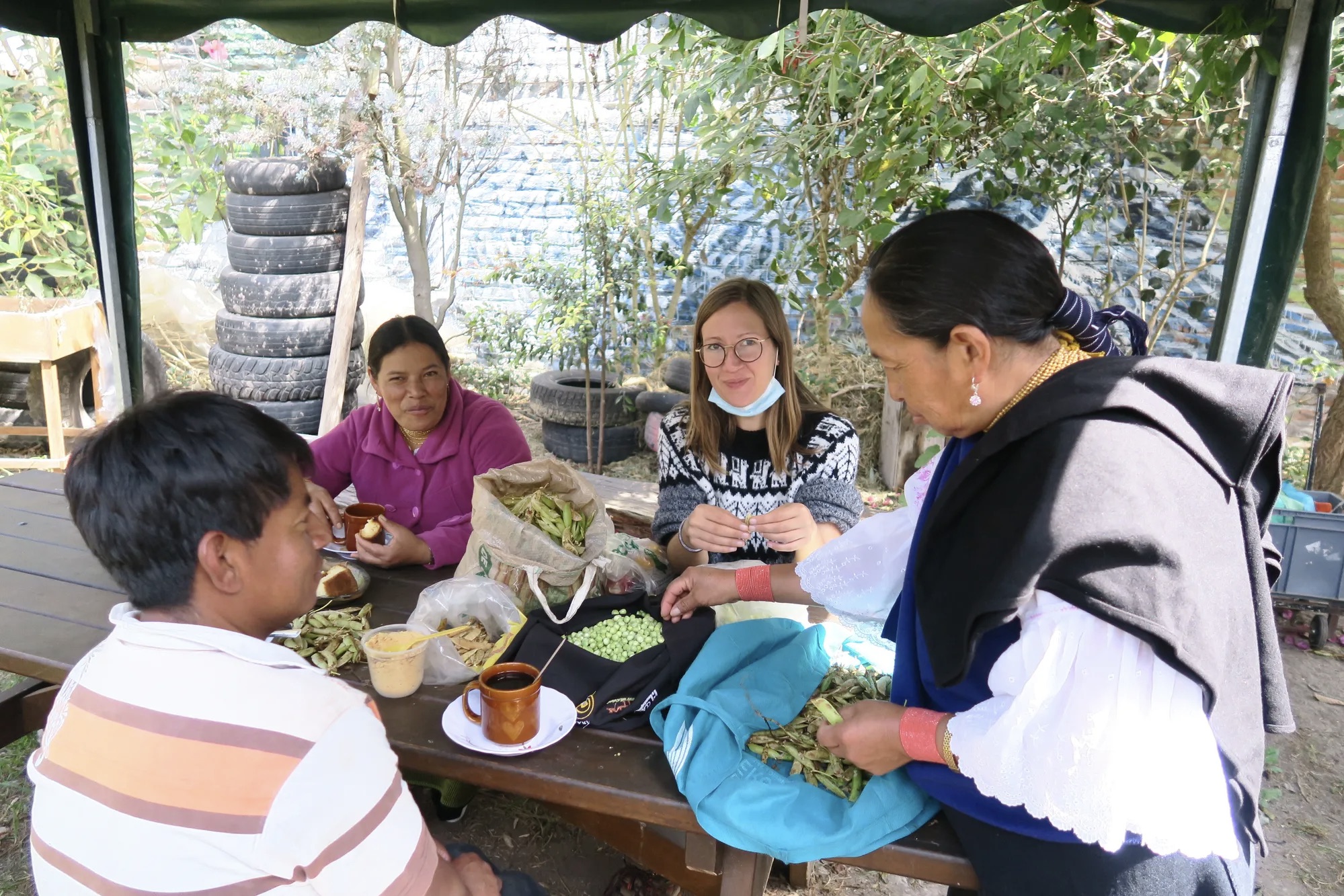 Durante a feira semanal de produtores em Kurikancha, vários produtores trocam ideias com um pesquisador de doutorado e compartilham a companhia uns dos outros enquanto processam ervilhas.