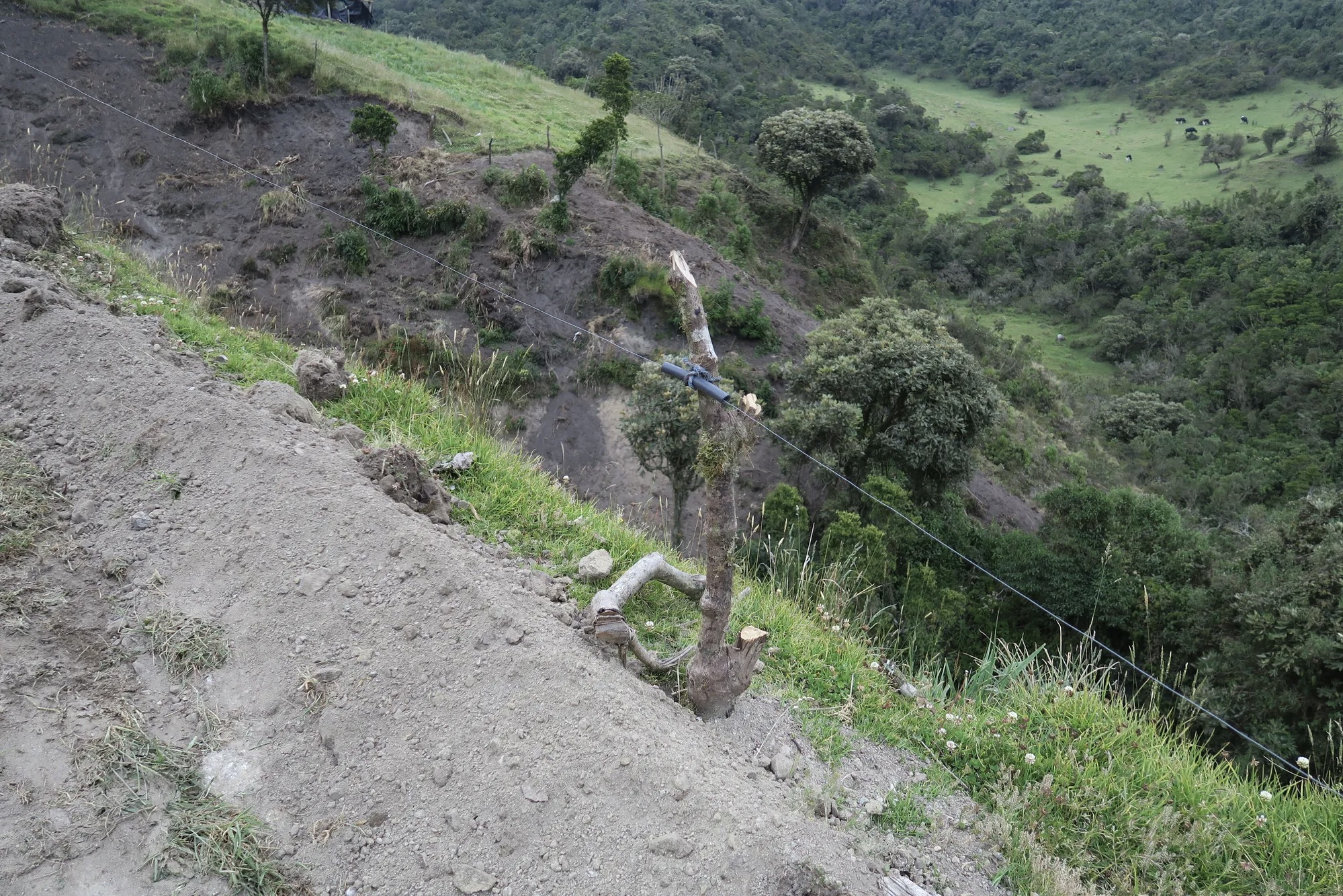 Cercas, incluindo cercas elétricas, são infraestrutura essencial para muitos agricultores.