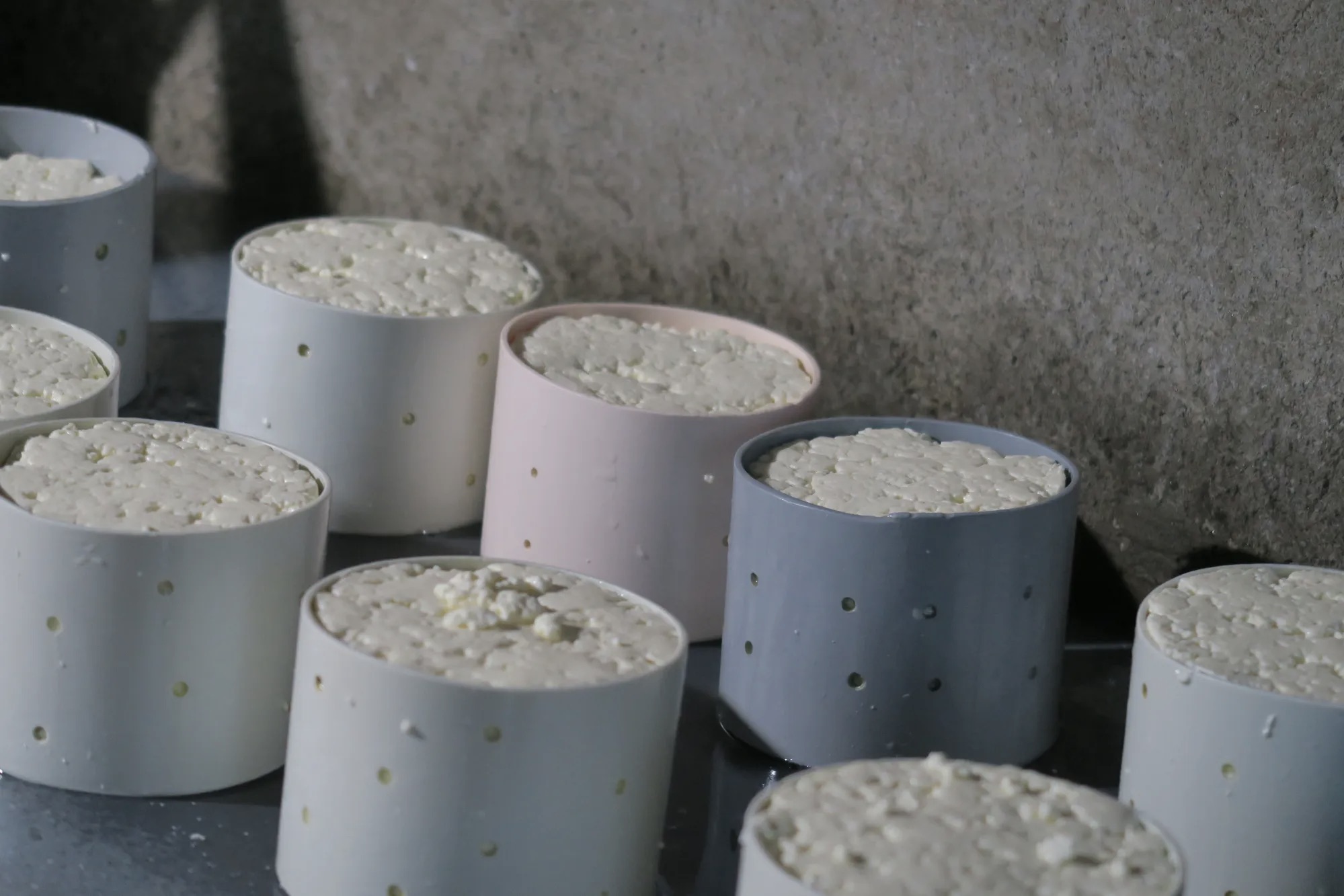 Esta produtora vende queijo diretamente ao consumidor em um processo de produção de um único dia, começando com a ordenha às 3h da manhã e terminando na feira de produtores ao meio-dia. Ela construiu uma base de clientes fiel.