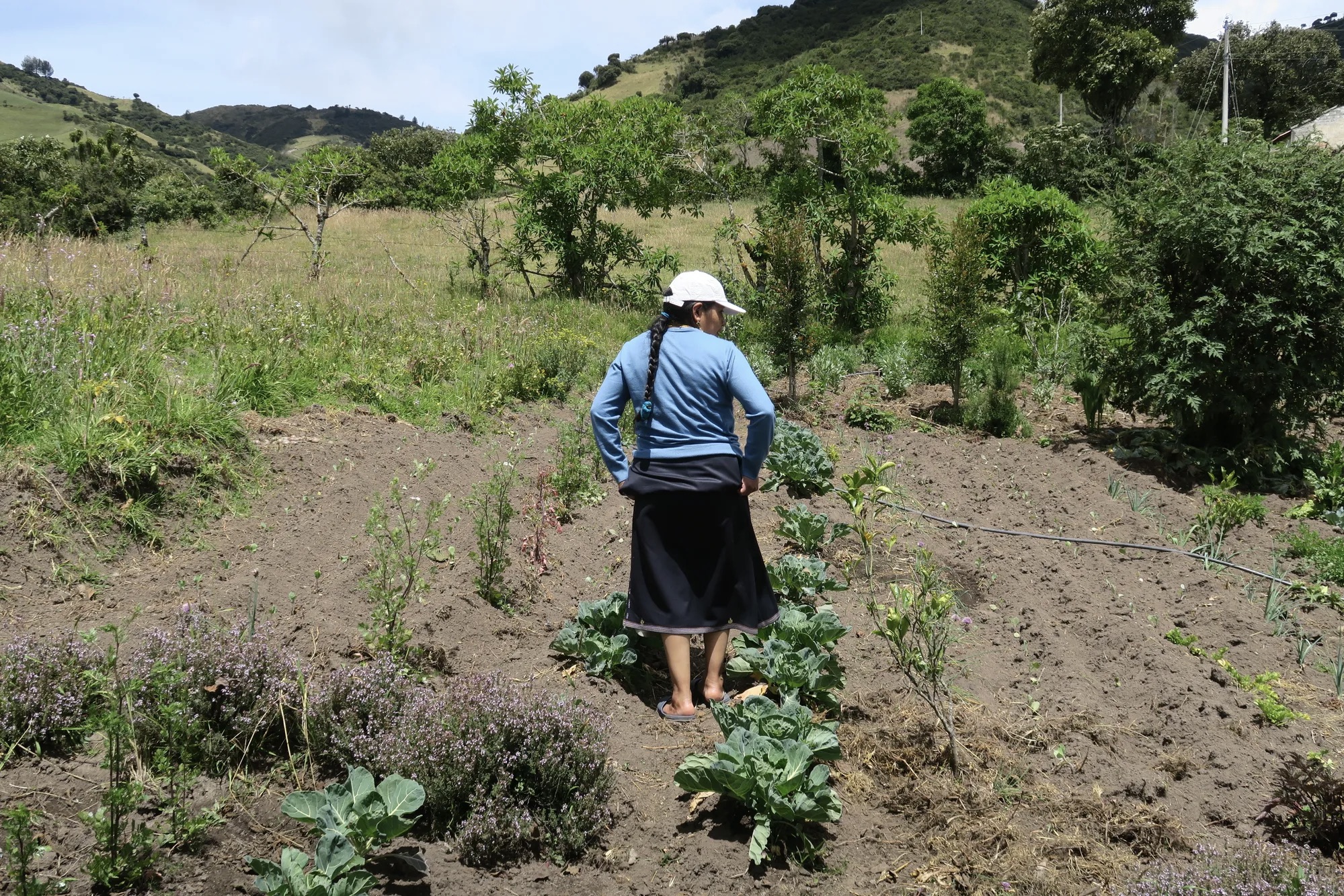 Muitos produtores encontram grande alegria e satisfação em estar na terra, conectando-se com as formas de vida ao seu redor e sentindo as sensações táteis de trabalhar com os elementos.