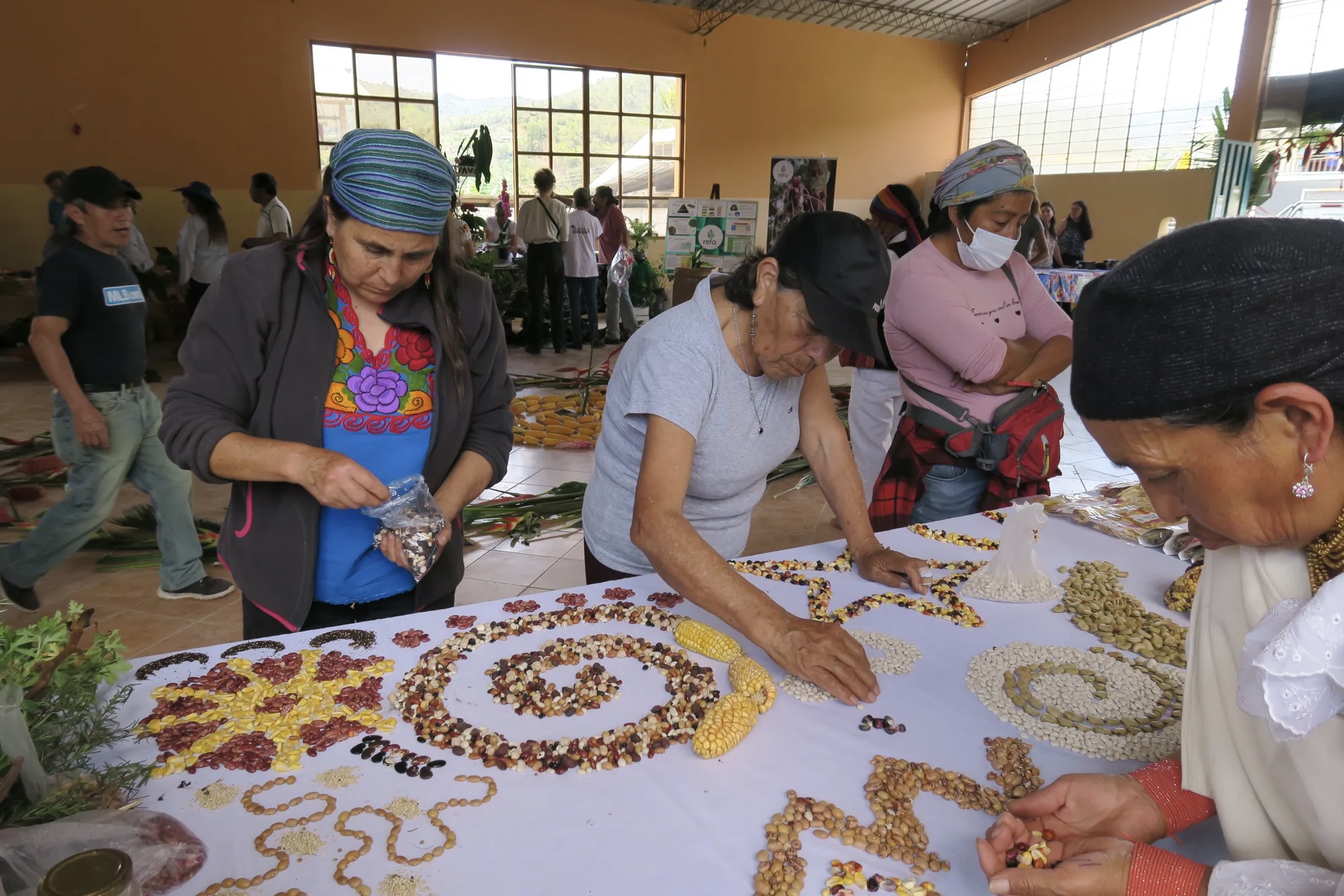 Muitos produtores relatam expressar sua criatividade por meio de vários aspectos da produção agroecológica, como a criação de belos desenhos de sementes em eventos culturais, que homenageiam as sementes e expressam significado cultural.