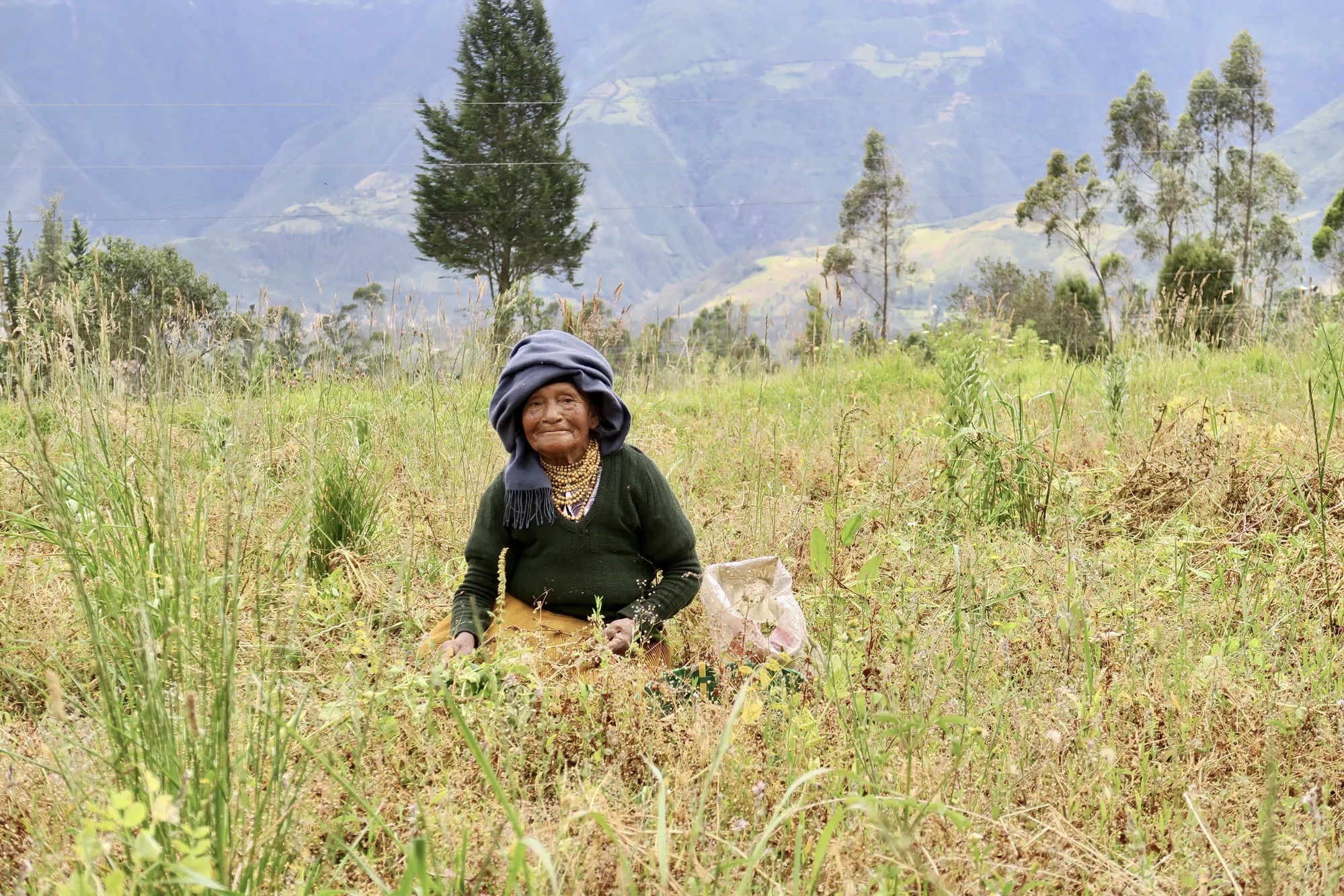 A saúde física está intrinsecamente ligada à autonomia corporal, particularmente para os agricultores indígenas que sobreviveram ao sistema colonial de fazendas, onde tanto a autonomia corporal quanto a saúde física foram comprometidas. Obrigada a trabalhar na terra desde criança, antes da abolição do sistema de fazendas, Dona Rosita, avó, agricultora e curandeira Kichwa Kañari, senta-se aqui em seu território tradicional, onde vive com seu filho, filha e netos, e compartilha seu vasto conhecimento sobre plantas medicinais.