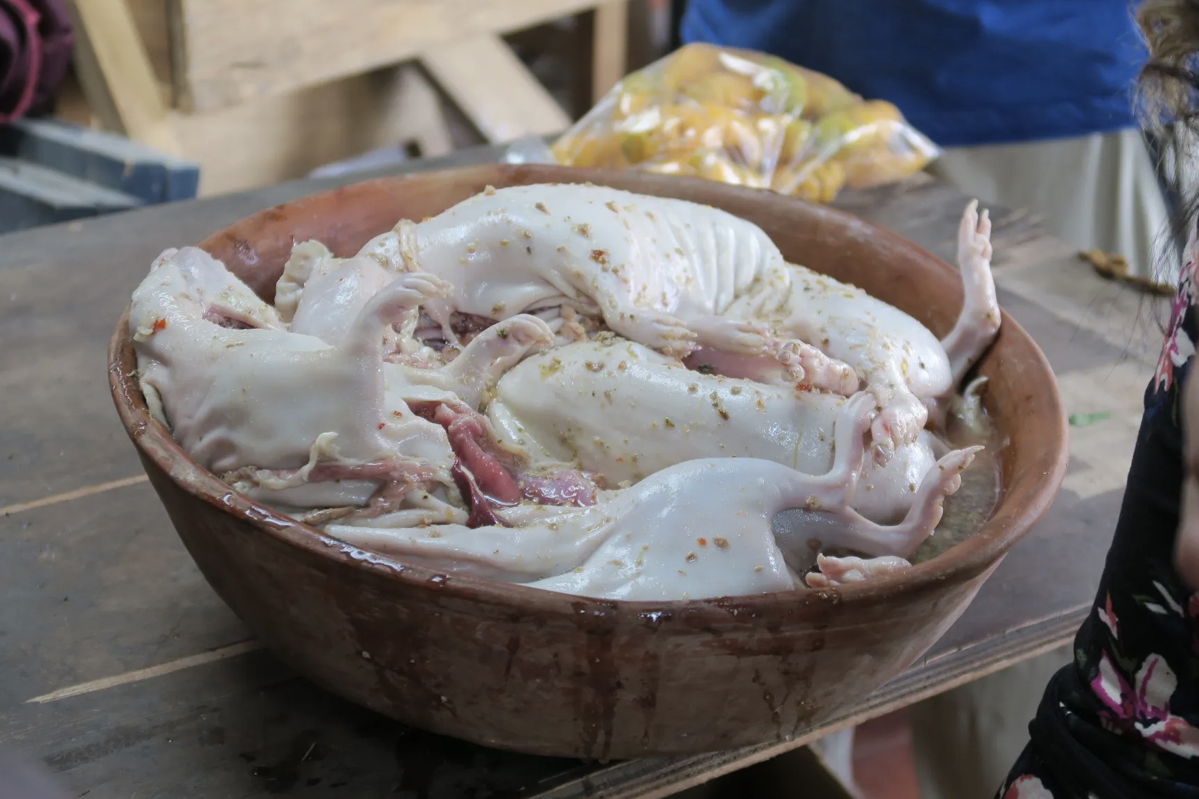 O cuy (porquinho-da-índia) é um alimento cultural importante em toda a região dos Andes. Um criador de cuy agroecológico afirma: "El cuy es uno de los animales que capta mucho más la energía de las personas" (O cuy é um dos animais que capta muito mais a energia das pessoas). Os cuyes estão profundamente ligados à identidade cultural e espiritual de muitos andinos.