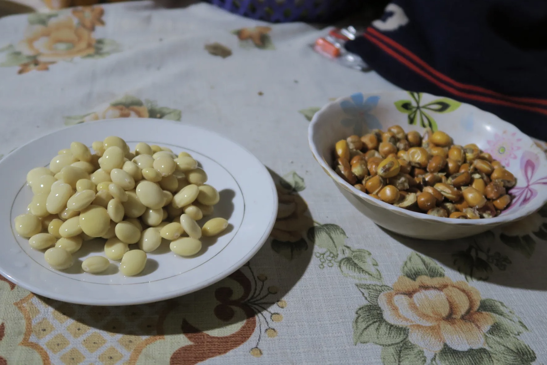 O milho (em suas diversas formas), o feijão e a ervilha são alimentos básicos e carboidratos essenciais para muitos agricultores andinos.