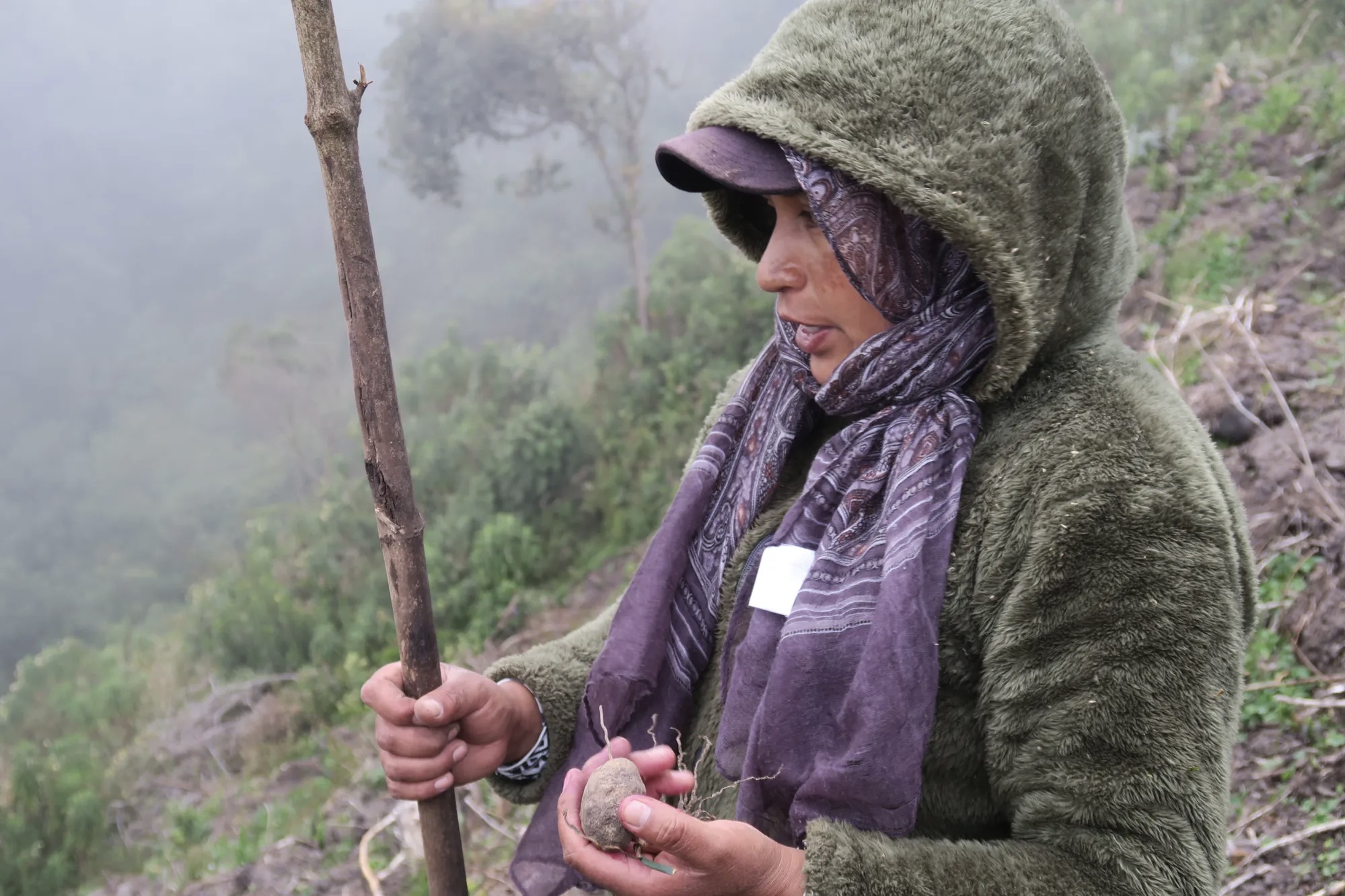 Salvar sementes (ou tubérculos!) de plantas culturalmente relevantes ao longo das gerações é um meio de preservar e transmitir a cultura.