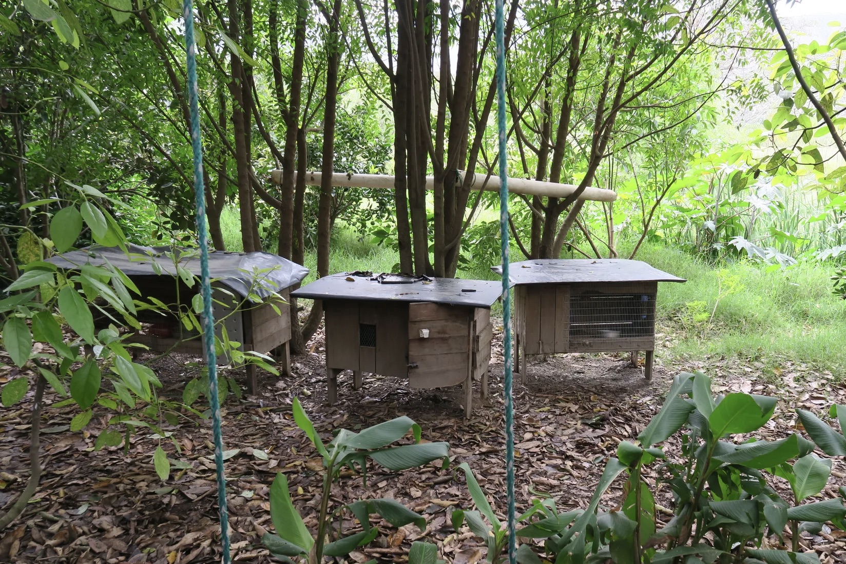 Os recintos dos animais, geralmente construídos à mão, são mantidos elevados do solo e com ampla ventilação e espaço para comportamentos naturais, incluindo áreas cercadas para que possam vagar (e pastar, quando aplicável).